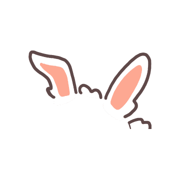 Bongo Bunny