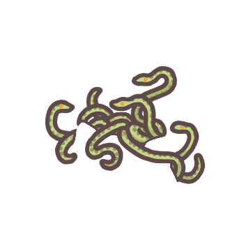 Medusa Snakes