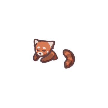 Red Panda Baby